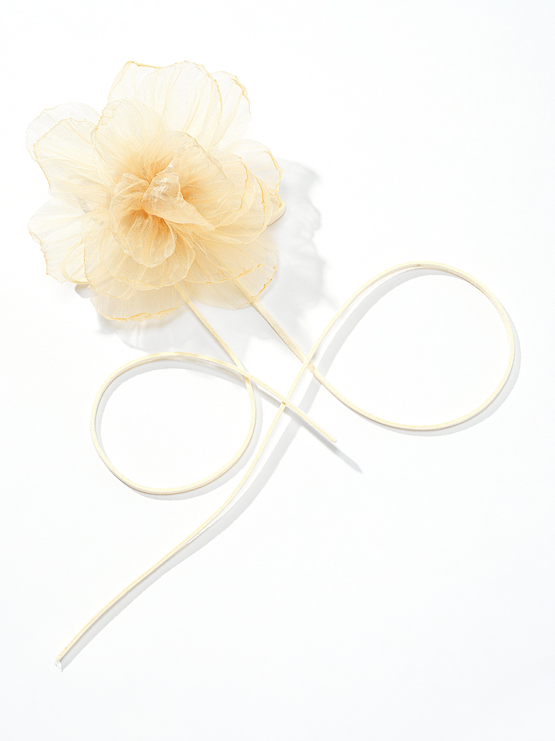 Antique Creme